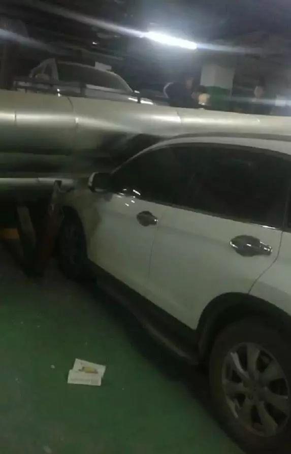娱乐生活 第123页