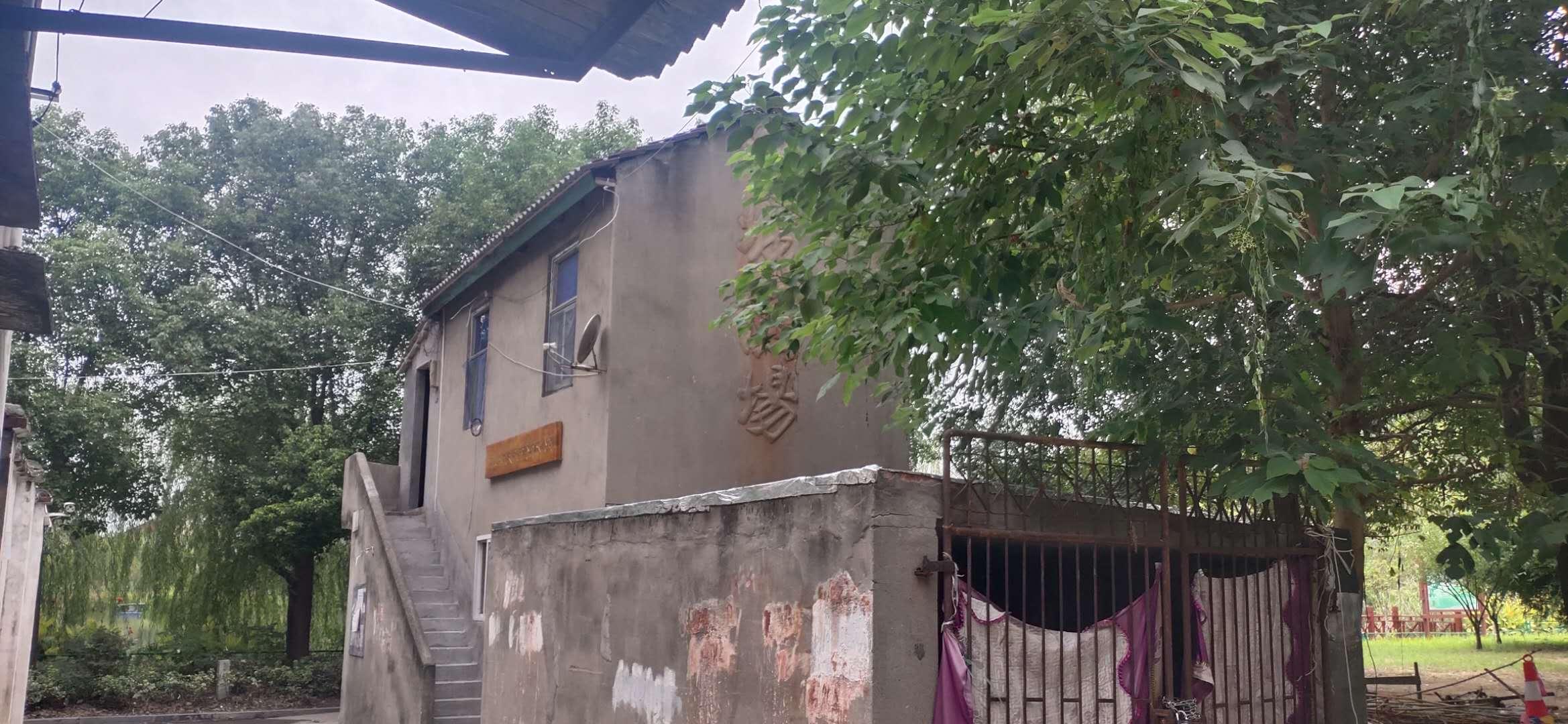娱乐生活 第111页